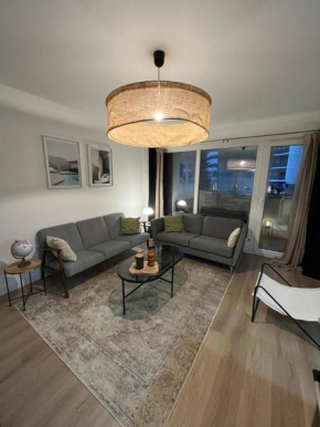 Grand appartement lumineux au cœur de Thonon